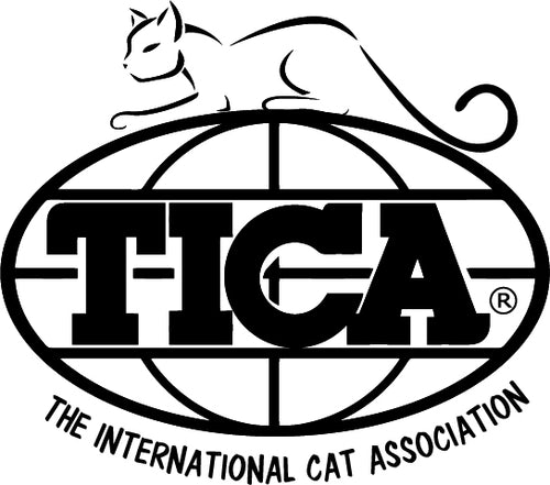 TICA EO International Awards